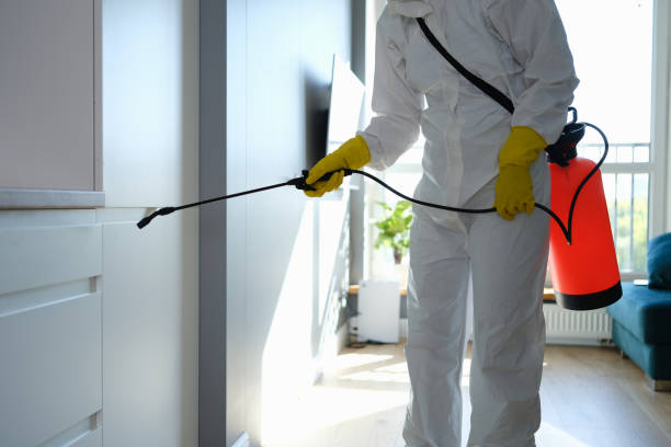 Biohazard Mold Removal in Portsmouth, VA